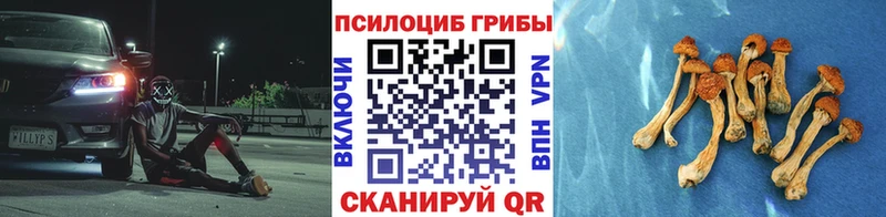 Галлюциногенные грибы Psilocybine cubensis  Карабаново 